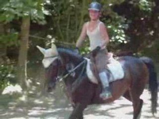 plan ascendant/descendant