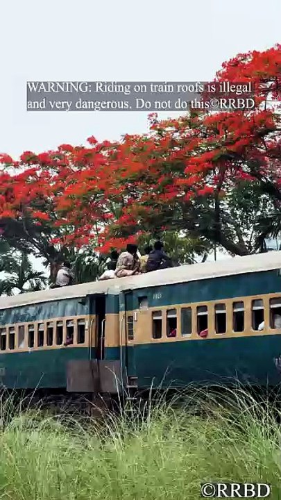 Where nature meets the rails🚊🌸🌿