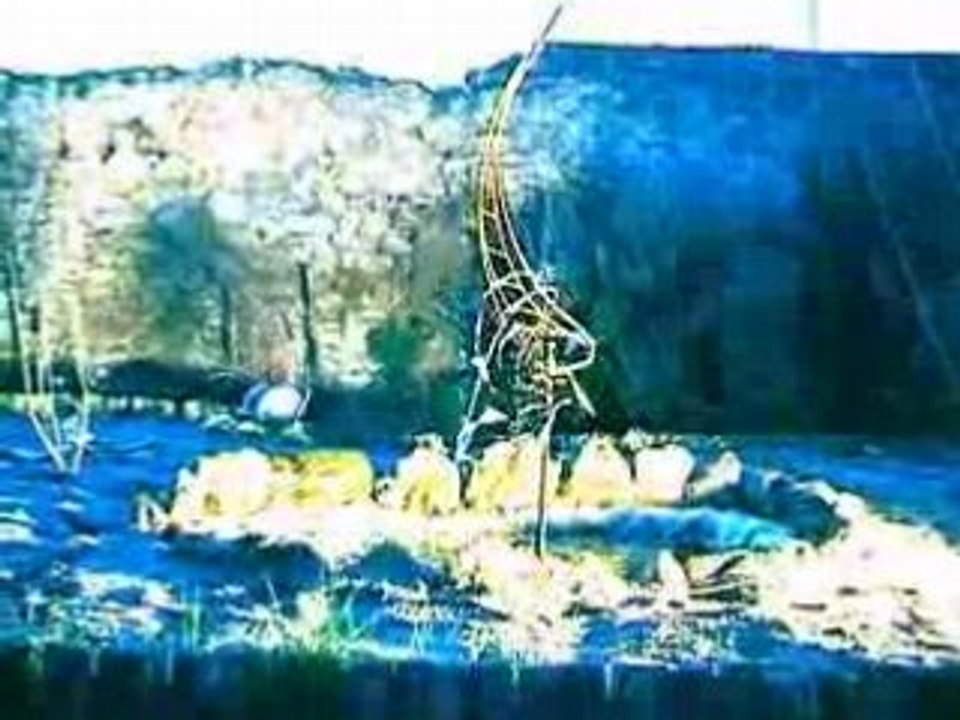 La croisée des chemins