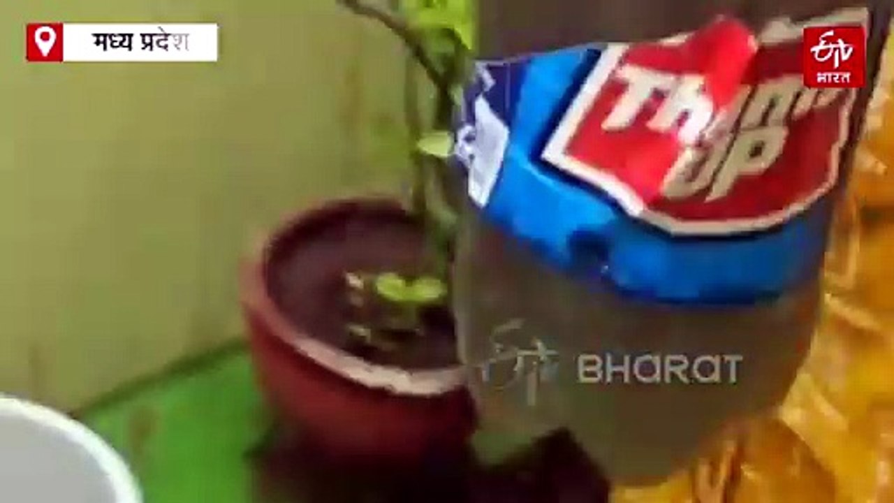 इंदौर जैसी लापरवाही! जबलपुर में नलों में नालों का पानी, घरों में पहुंचा बदबूदार और कीड़े वाला पेयजल