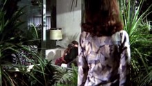 Five Dolls for an August Moon 1970 With Eng Sub