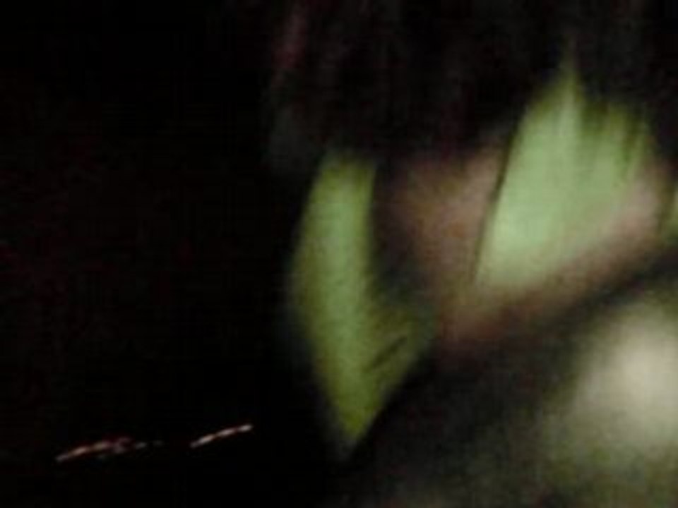 hellfest 2008 - front de liberation de l'apéro