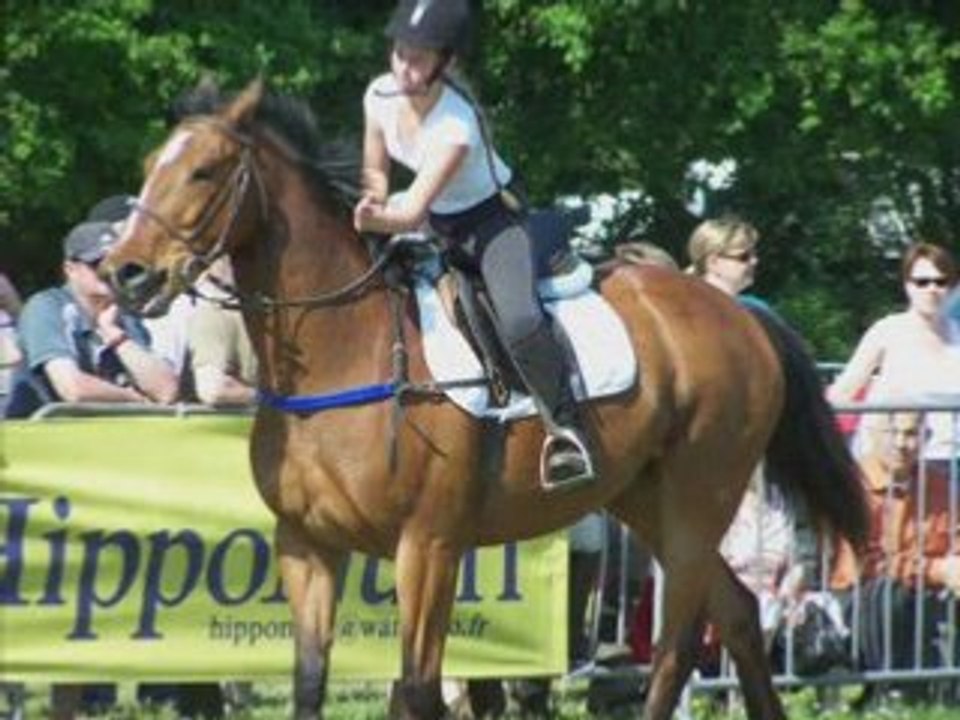 Aux écuries du loup