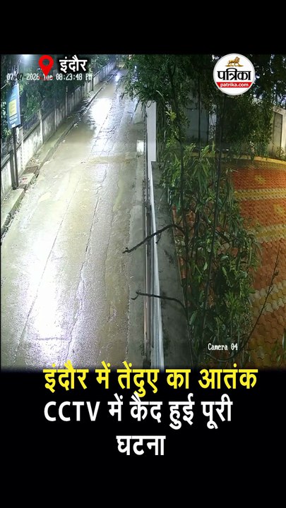 इंदौर में तेंदुए का आतंक