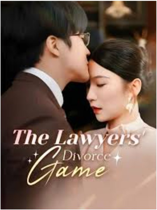 The Lawyers' Divorce Game