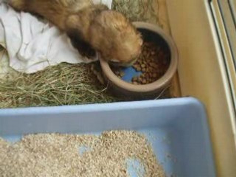 2008_07010010