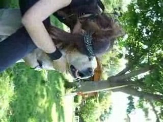 Selle-Prou episode 2 XD