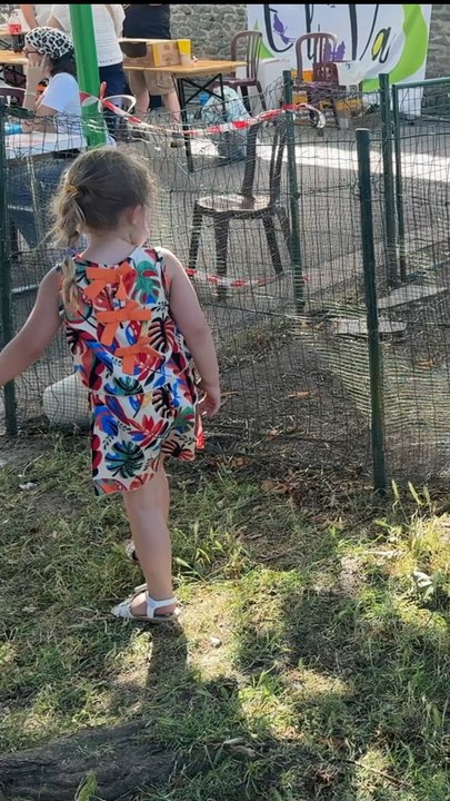 Tu aime aussi les animaux