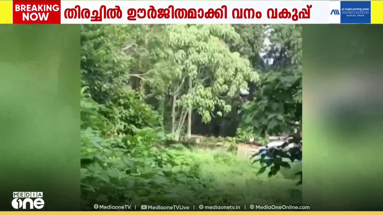വെള്ളനാട് ഇറങ്ങിയ കാട്ടുപോത്തുകൾക്കായി തിരച്ചിൽ ഊർജിതം; നൈറ്റ് പെട്രോളിങ് ശക്തമാക്കാൻ വനംവകുപ്പ്