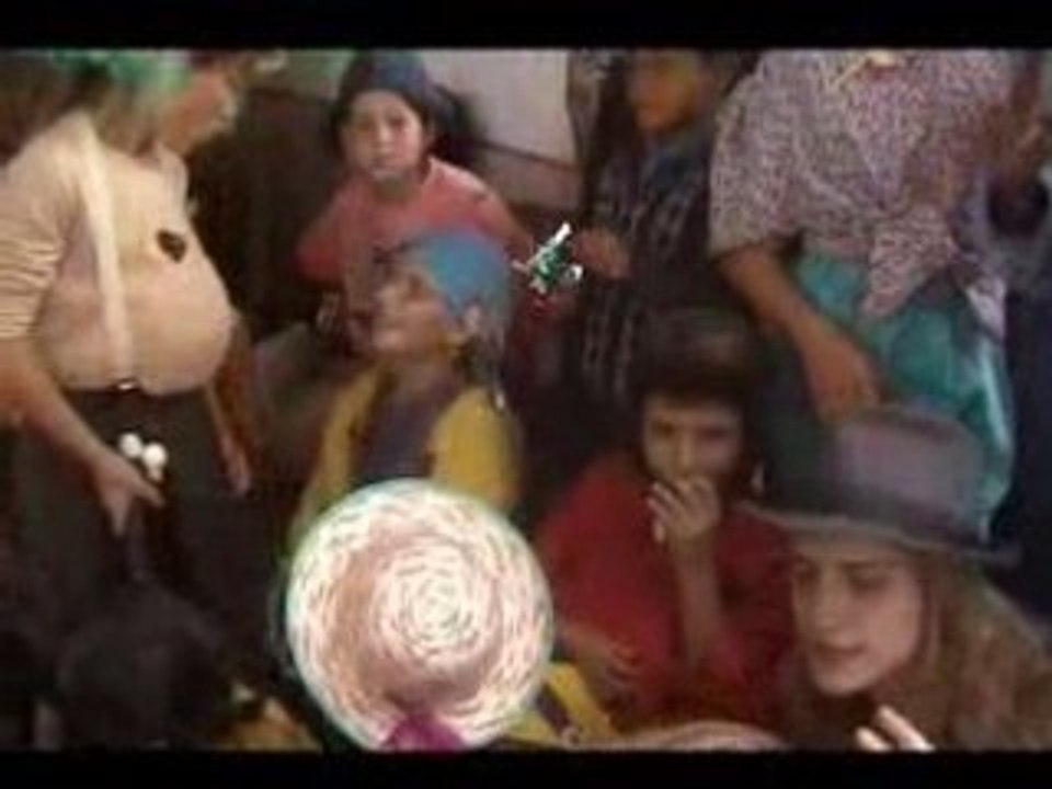 Un Chien nommé Mozart