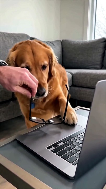 He Refused to Go Outside... Then Did THIS 🤯🐶