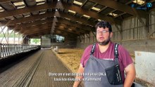 Nous avons totalement repensé l'abreuvement des bovins sur la ferme
