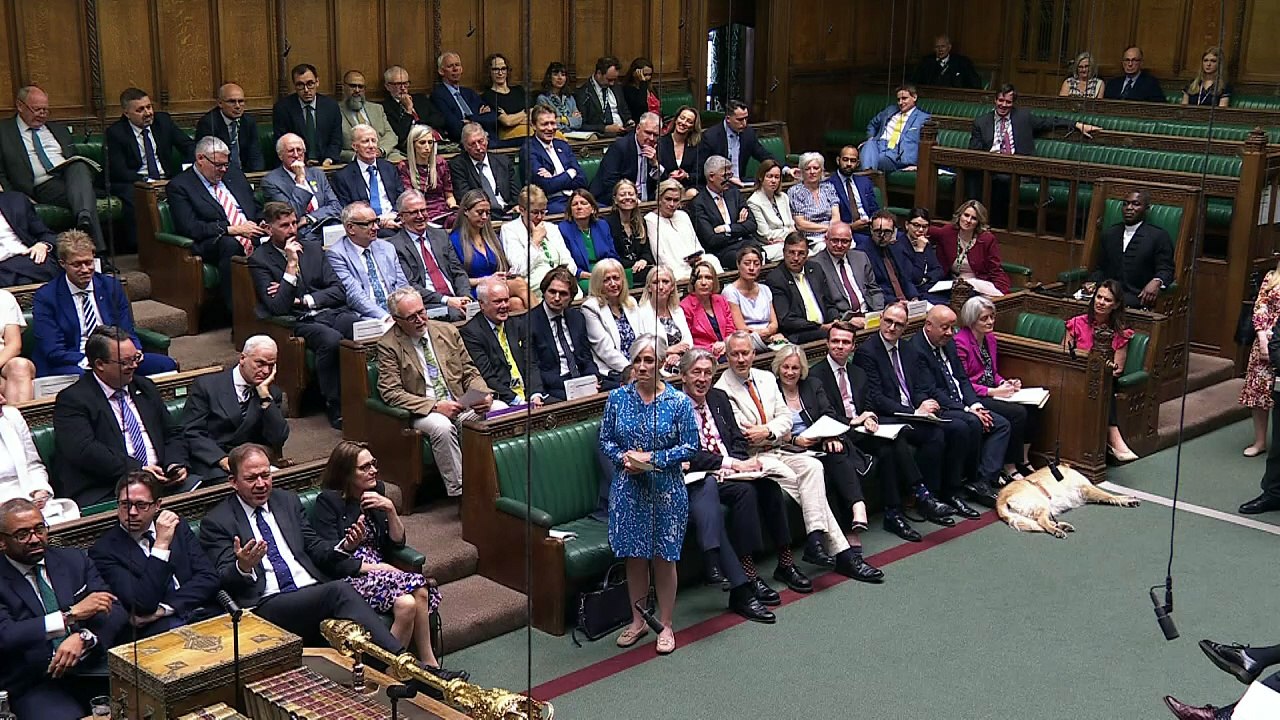 'Leave means leave': MPs hit out at Farage
