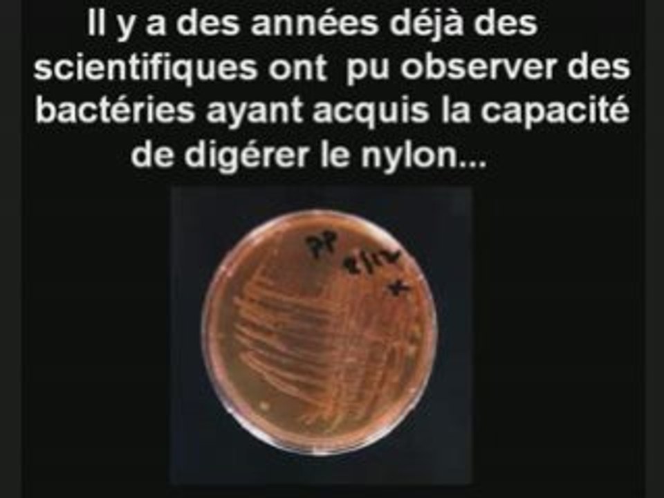 Volution Et Mutations