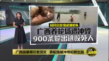 广西因暴雨引发洪灾   900条蛇出逃咬死人
