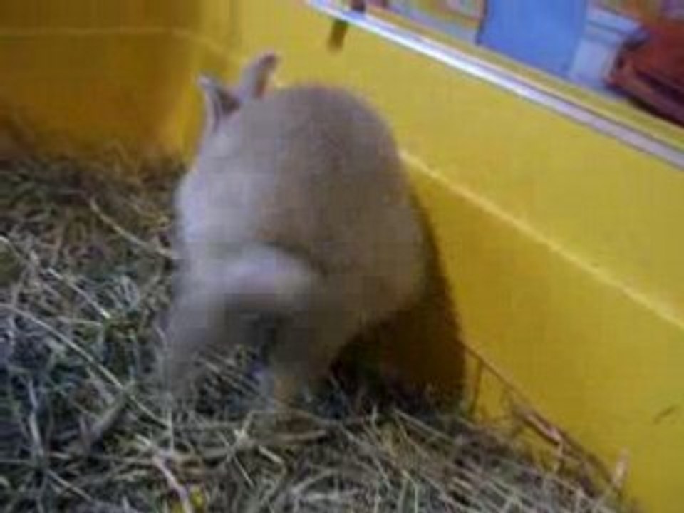 Ma1ere vidéo