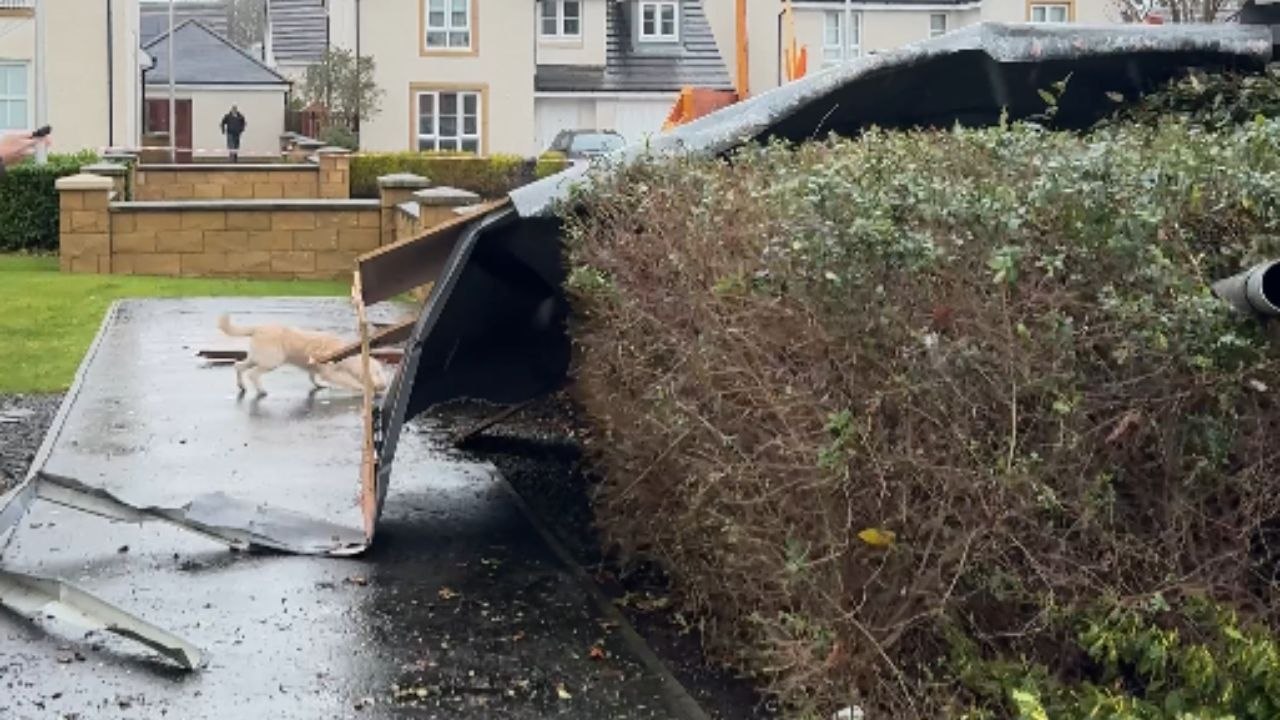 Devastating winds from Storm Éowyn demolish hom...