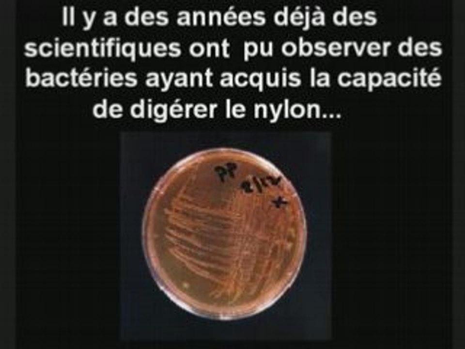 Evolution Et Mutations