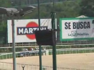 2008 (184) Premio MARTORELL (Categoría C) (SIRENITA)