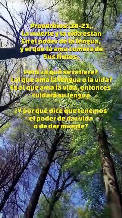Tu palabra crea o destruye