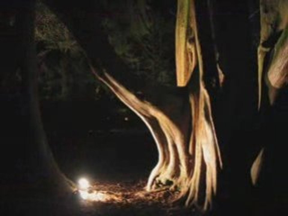 - msurs, sikvdilamde, gimgero, qeba