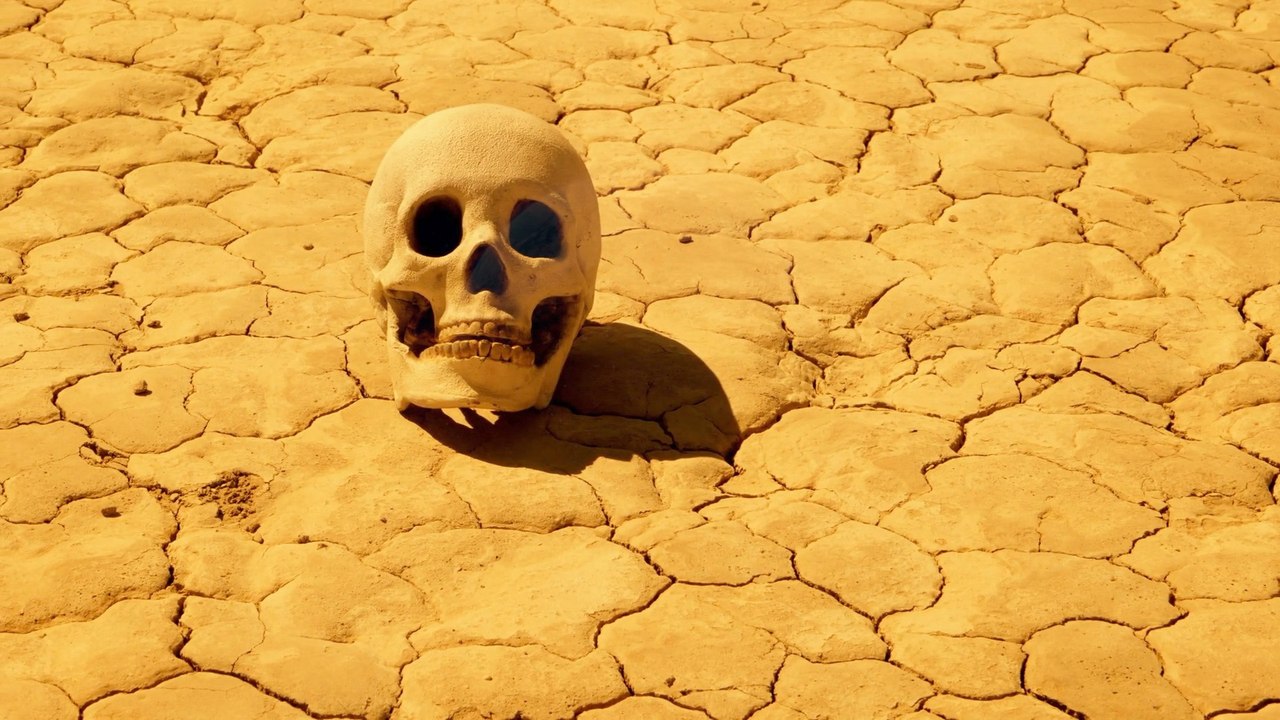 What if Earth's continents merge again? Warm-blooded life could face extinction.