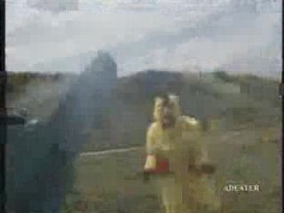 Grumly - qui n'aime pas les poulets