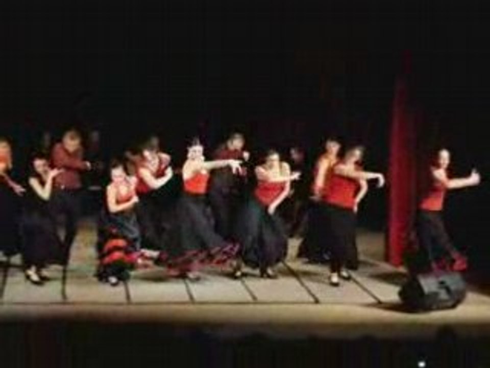 Le flamenco de delfino