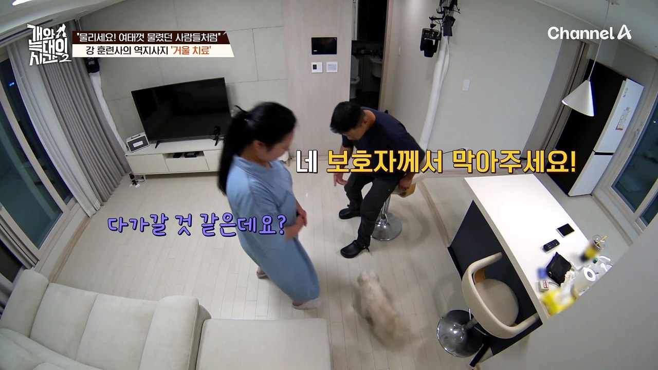 "얘가 절 물면 발로 차 버릴 거예요" 보호자가 방심하지 않도록 상기시키는 강형욱 훈련사