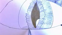 Drawing a Cat Eye with Pencil (No Audio) – Relaxing & Satisfying Art