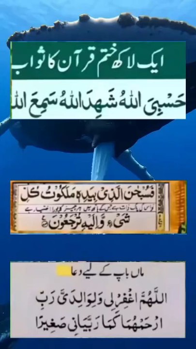 Allah ki tasbih