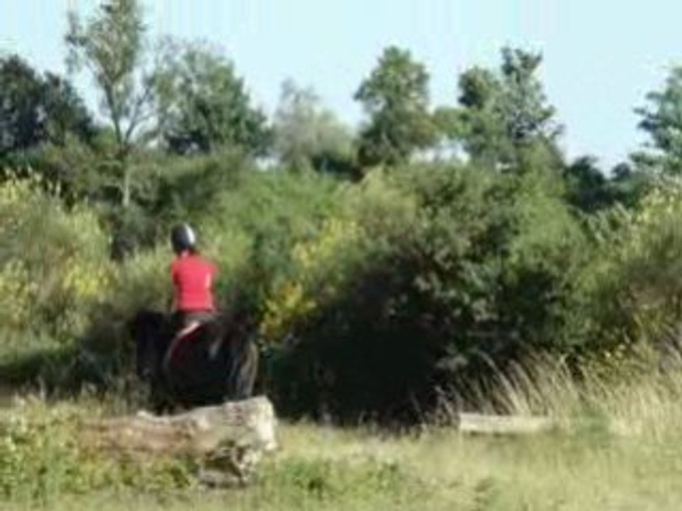 Moi et Lucky