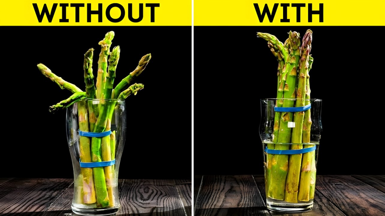 Smart Strategies to Extend Food Freshness