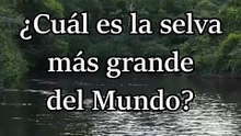 ¿Cuál es la Selva más grande del Mundo?