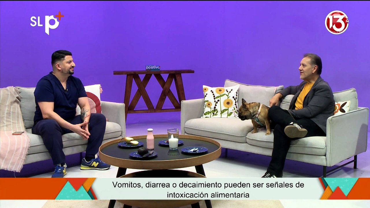 SLP Miércoles 1 julio Entrevista omidas prohibidas para mascotas