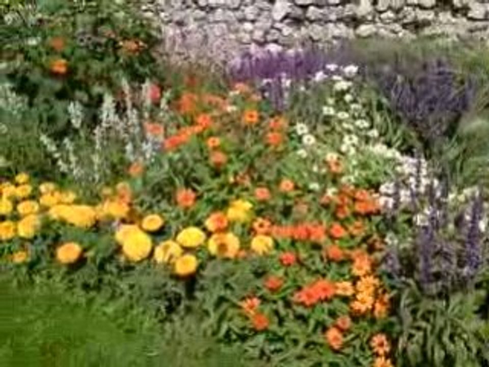 Monastère de Cimiez à Nice