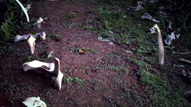 O Mágico de Oz: O Despertar do Mal | Trailer