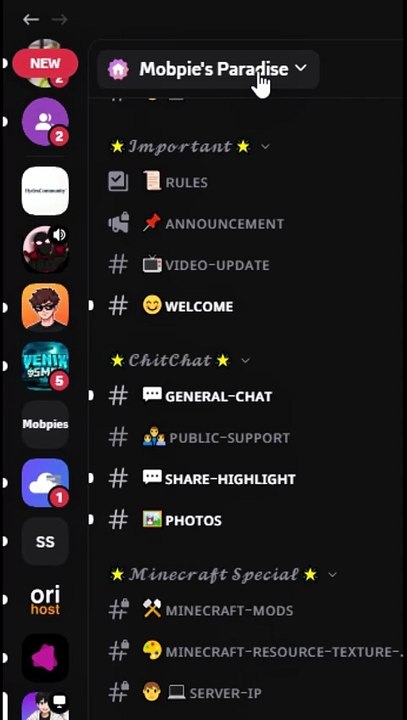 Channels Not Showing In Discord? Watch this