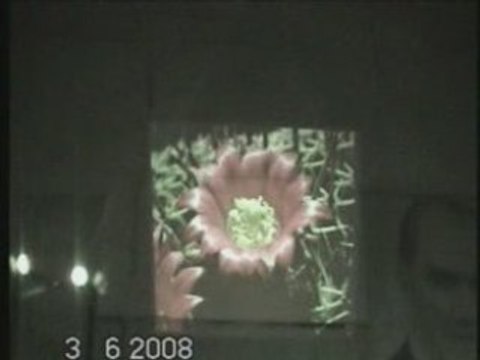 BUHARKENT ÇOK PROGRAMLI LİSESİ Şiir dinletisi 2008 -1-4