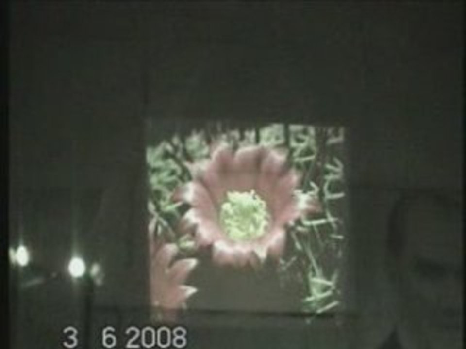 BUHARKENT ÇOK PROGRAMLI LİSESİ Şiir dinletisi 2008 -1-4