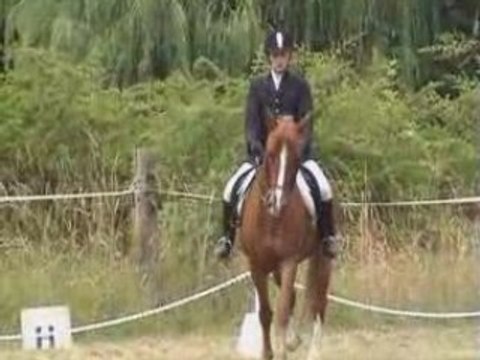 Concours Le Plessi Illico dressage 29/06/08