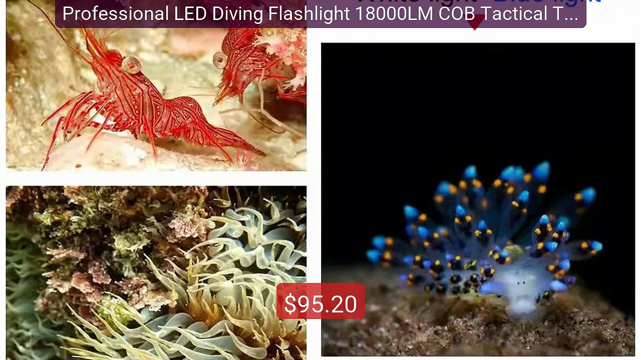 Professional LED Diving Flashlight 18000LM COB Tactical Torch IPX8... -- Best Deal 2026 | Shop Now!