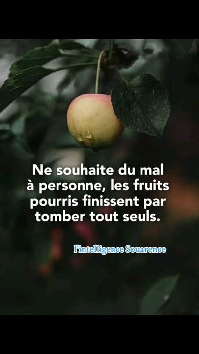Ne souhaite du mal à personne, les fruits pourris finissent par tomber tout seuls.#lintelligencesouarence #reels #viralvideochallenge #inspiration #viralreelschallenge #shortsreels #penseepositivedujour #motivation #citationdujour #viralchallenge
