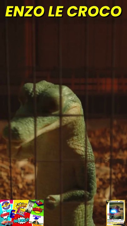 📺ENZO LE CROCO✨LA LALA LA LAAA✨#crocodile #shawnmendes #javierbardem #netflix🎬ABONNES-TOI & METS UN COM' STP MERCI📺🙏😉😎💖