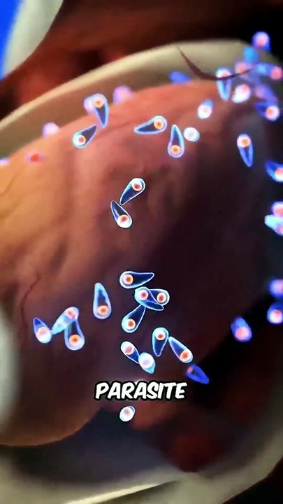 These Parasites CONTROL Their Hosts' Brains! 🧠😱 Shocking Nature Facts
