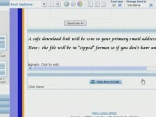 Build a free flash wix website