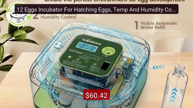 12 Eggs Incubator For Hatching Eggs, Temp And Humidity Control... Hot Deal 2026 | Limited Offer!