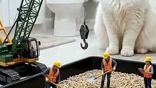Pocket Workers Litter Box Cleanup