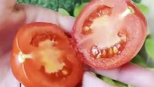 زراعة الطماطم في البلكونة😉❤️❤️ #fyp #plants #اكسبلور #زراعت #tomata #garden #طماطم #youtube