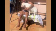 Agozzino Alfredo story con i suoi amici cani